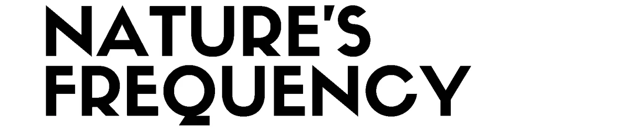 Nature’s Frequency — original exhibition lettering